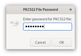 Small window PKCS12 File Password. Enter the password for the PKCS12 file, colon. Input field with thick dots. At the very bottom right, Cancel, OK buttons.